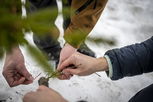 Sběr trusu pro genetickou analýzu. Foto: Jana Kloučková Kudrnová