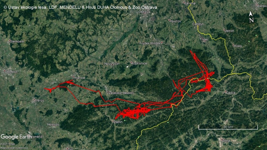 Mapa pohybu rysího samce Emana za necelý rok sledování pomocí satelitní telemetrie