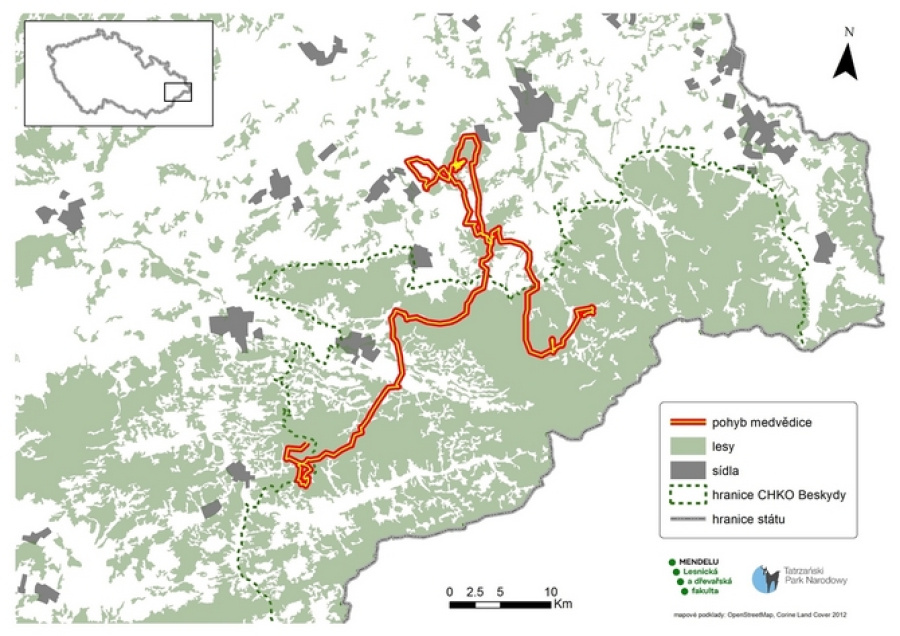 Mapa pohybu medvědice od 9. 4. 2019 do 22. 4. 2019 